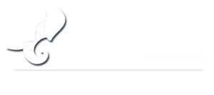 web logo png